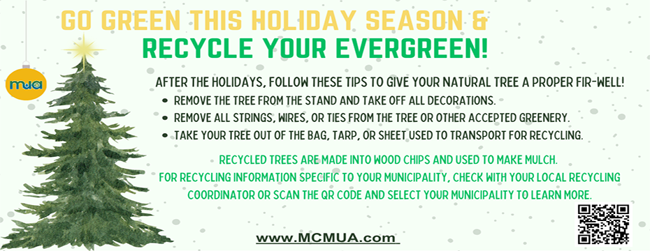Christmas Tree Recycling Banner PSA
